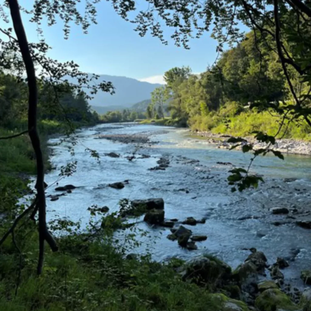 Tabor brez ekranov, članek, slika 2