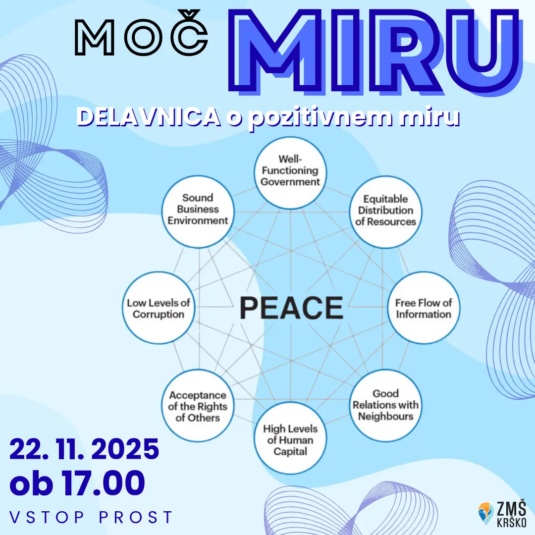 moč miru, delavnica o pozitivnem miru, dogodek