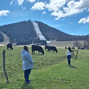 YE cultural threads 6