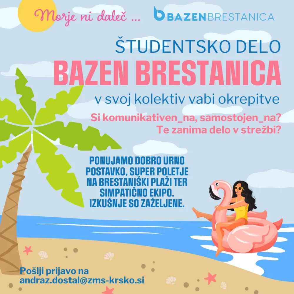 BB študentsko delo študentsko delo na bazenu brestanica